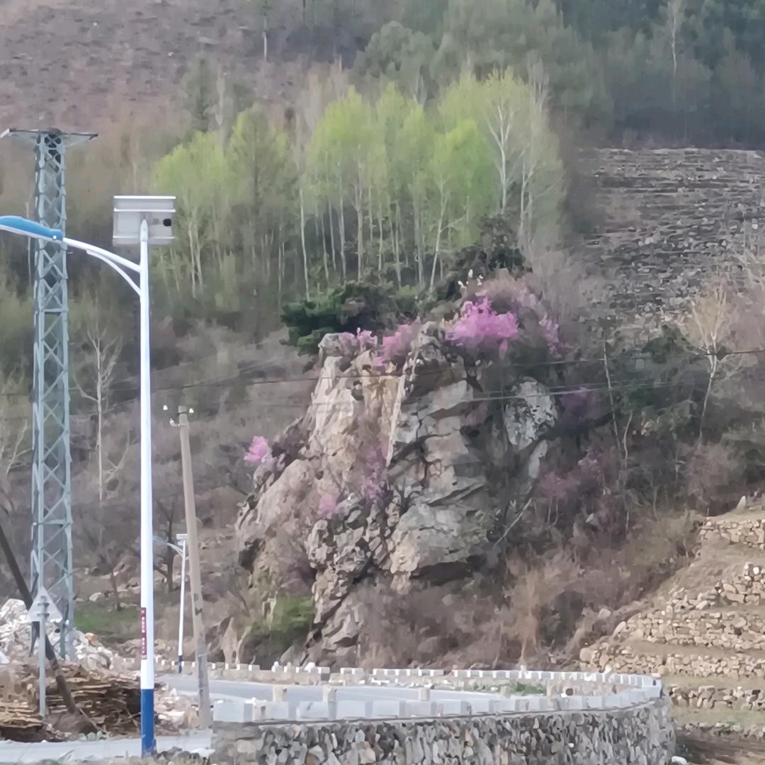 渔乐人生。
