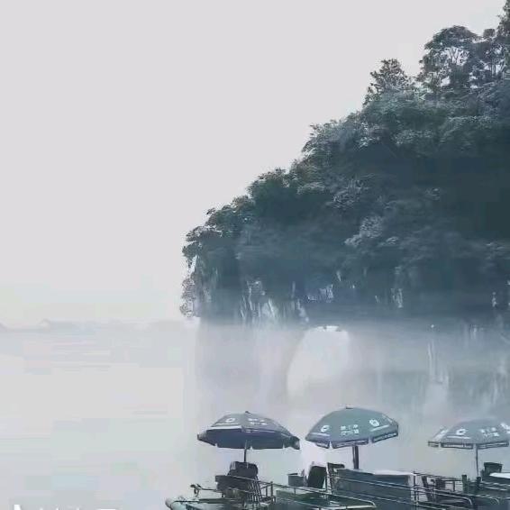旅游课代表小郑