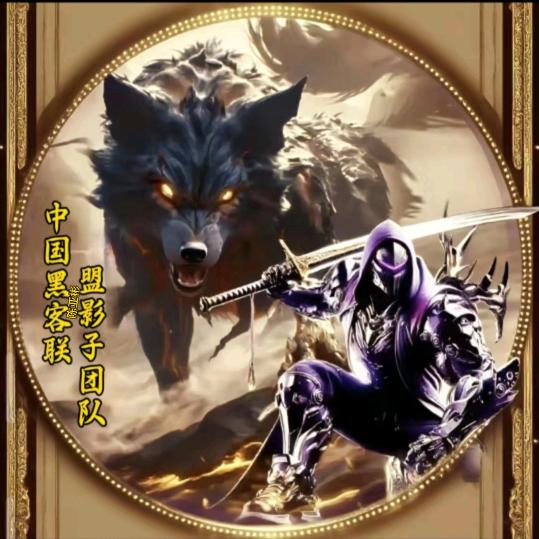 中国黑客联盟影子团队