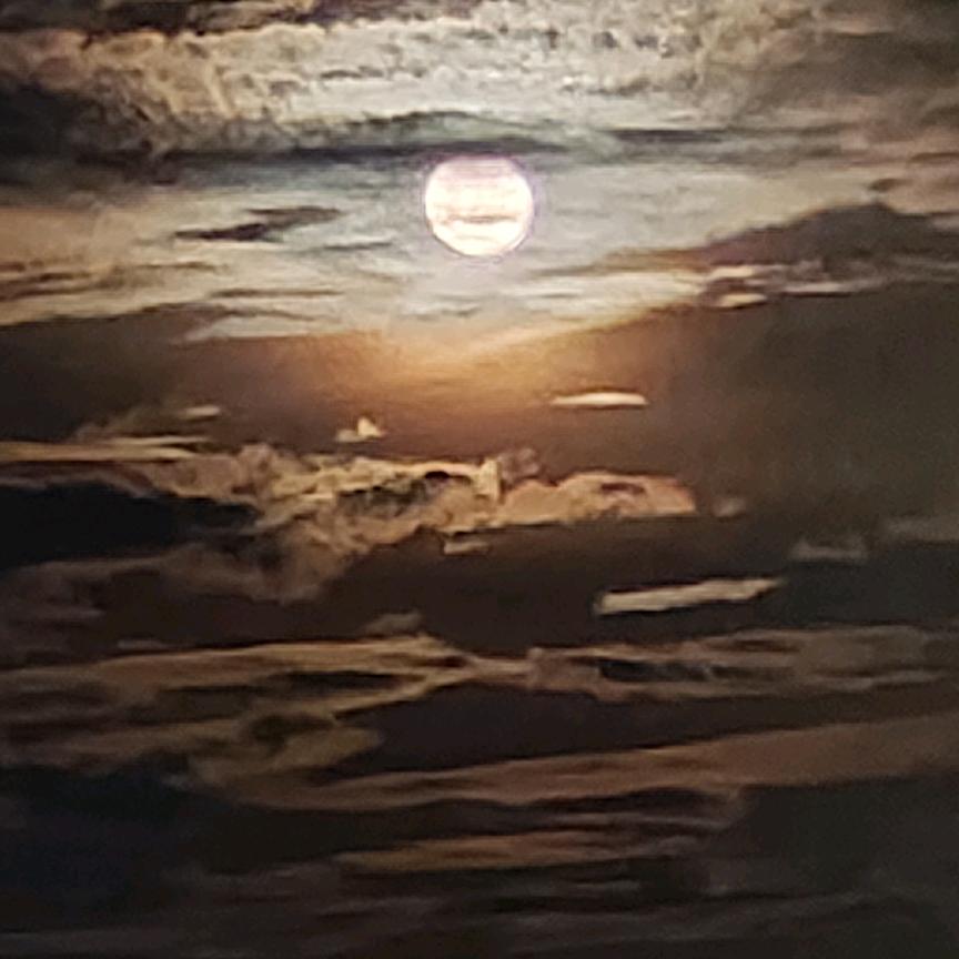 星河脉冲
