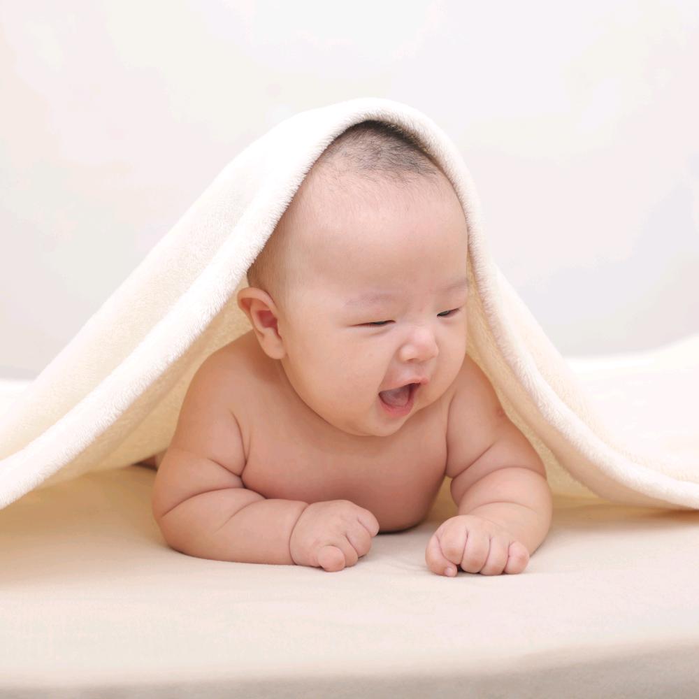 小林木木