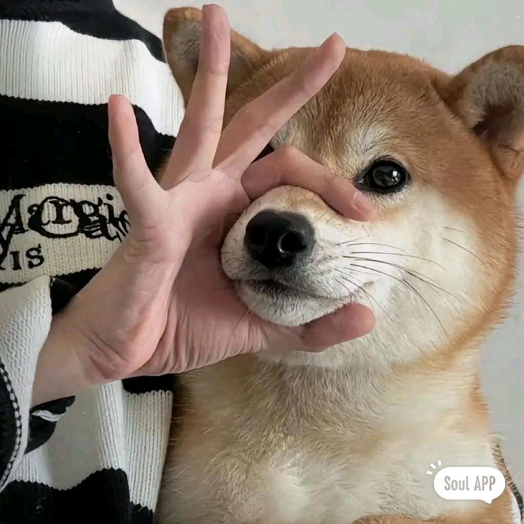 哲