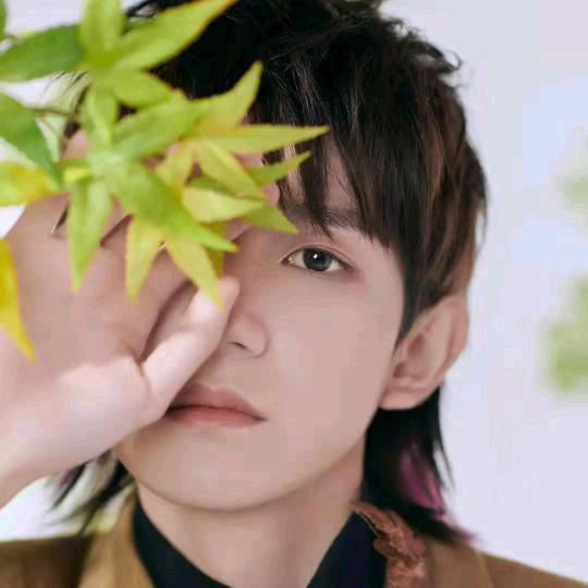 <<戒烟.戒酒.戒女人>>