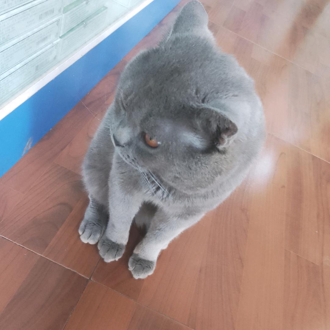 原味的微笑