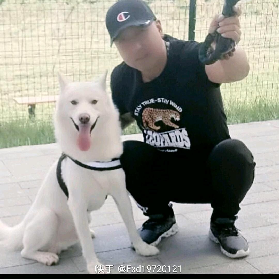酆向東