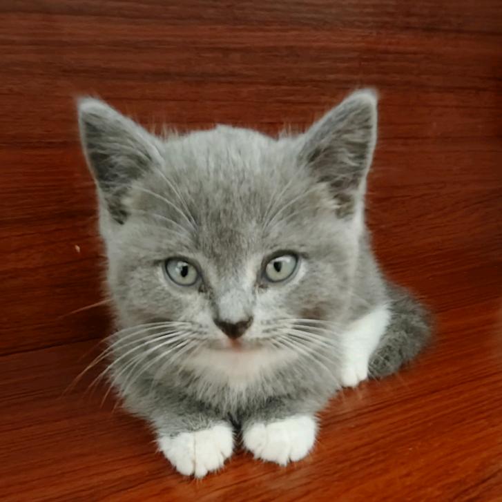 '◡'简心素♡行🍎᭄