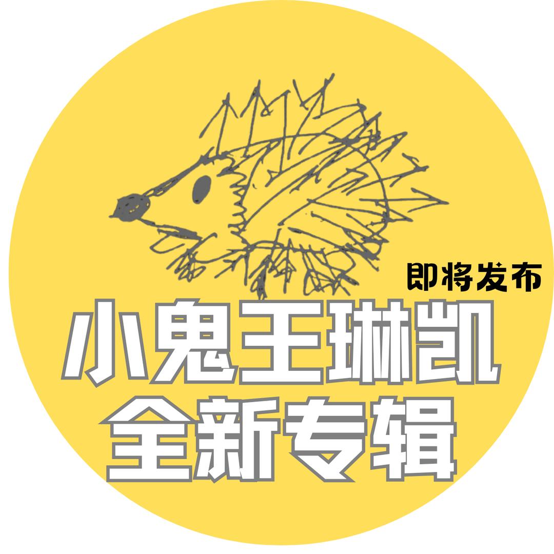 小鬼王琳凯的会会