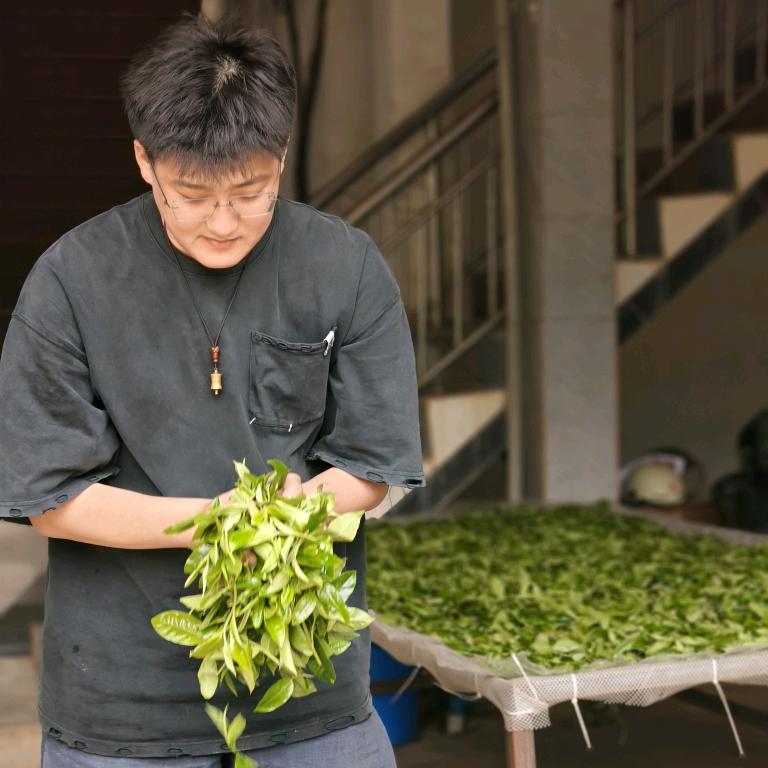 奇佬博(普洱古树纯料茶)
