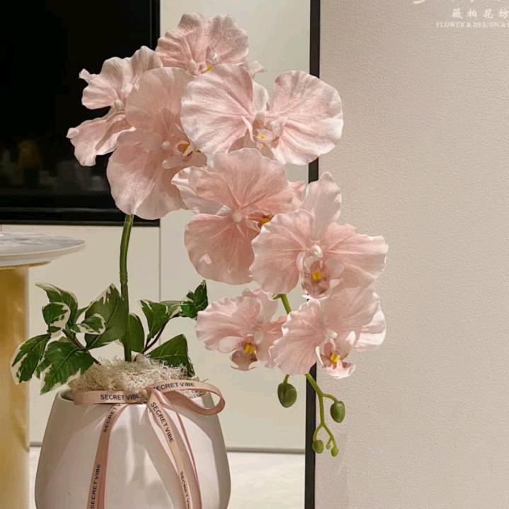 健康快乐的群群