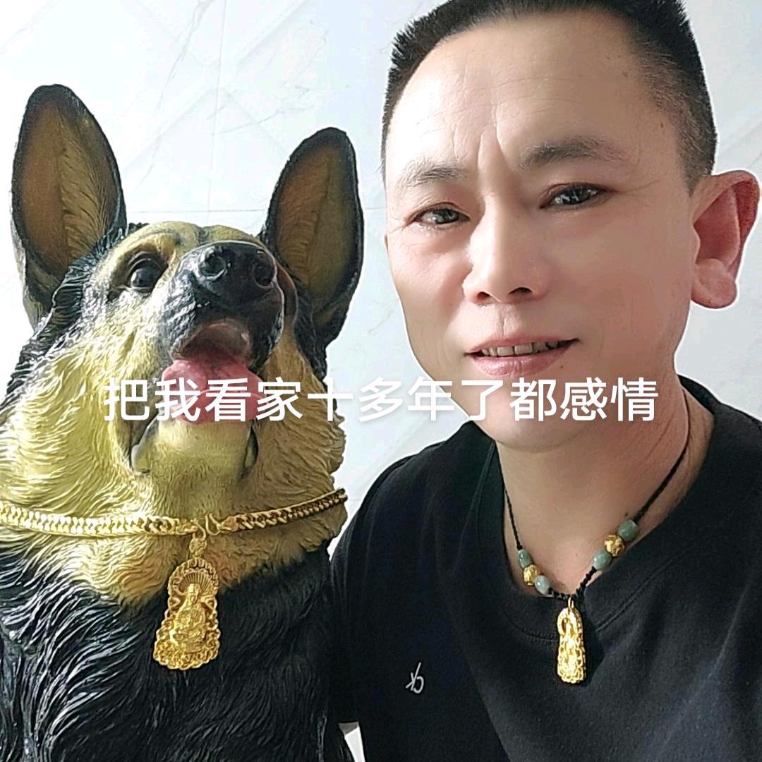 想要一个安心的家