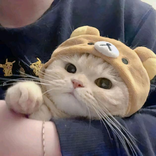 不爱早睡