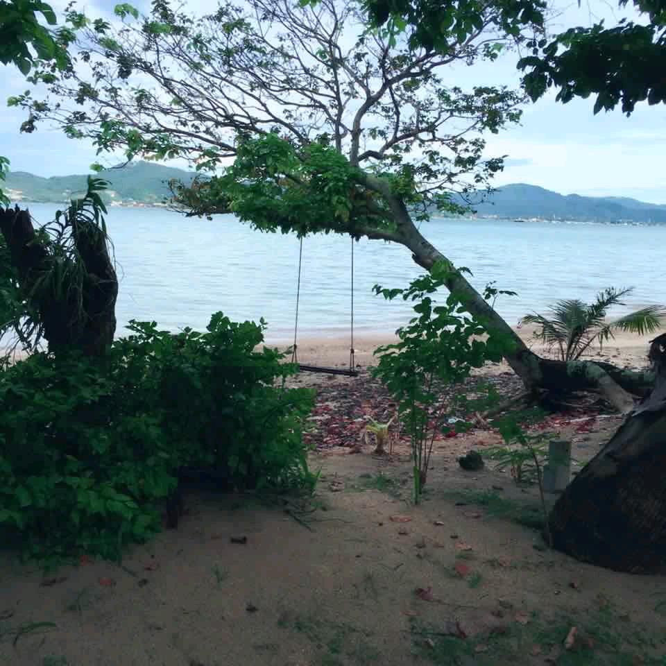 用户明天会更好
