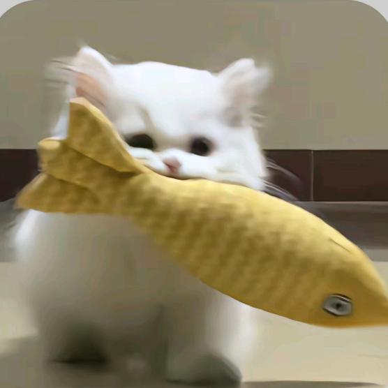 禾小念