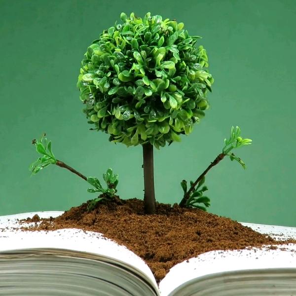 王者荣耀送人头