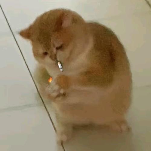 💎萬岩