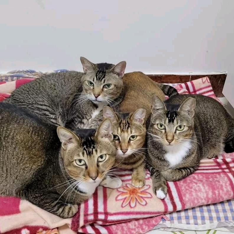 暖暖的不離不棄