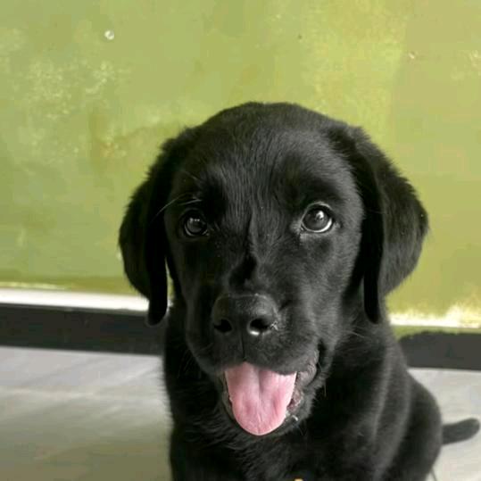 杉言两语🥉🥇🥈