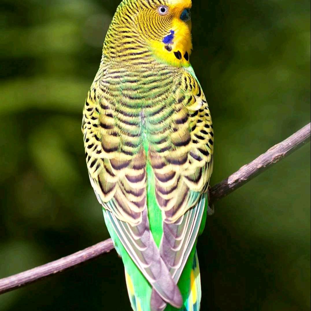 用户6130529038010强仔