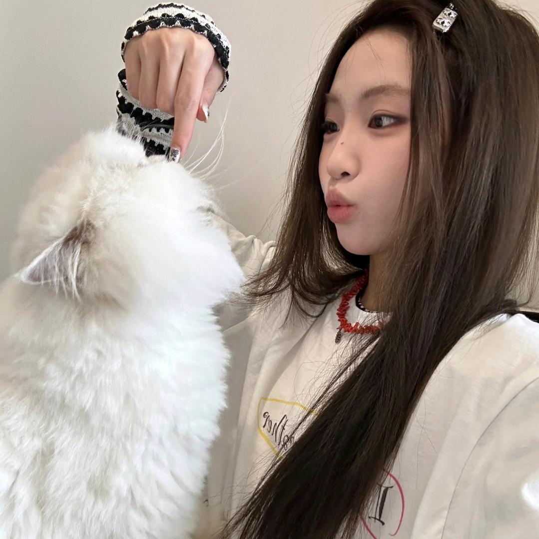 chuju.