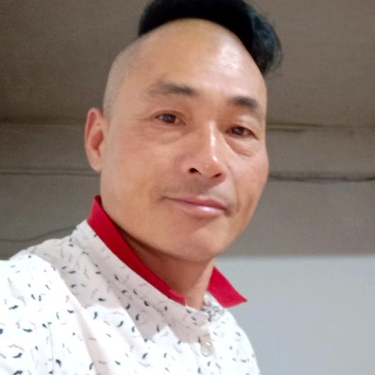 爱情动了我的心