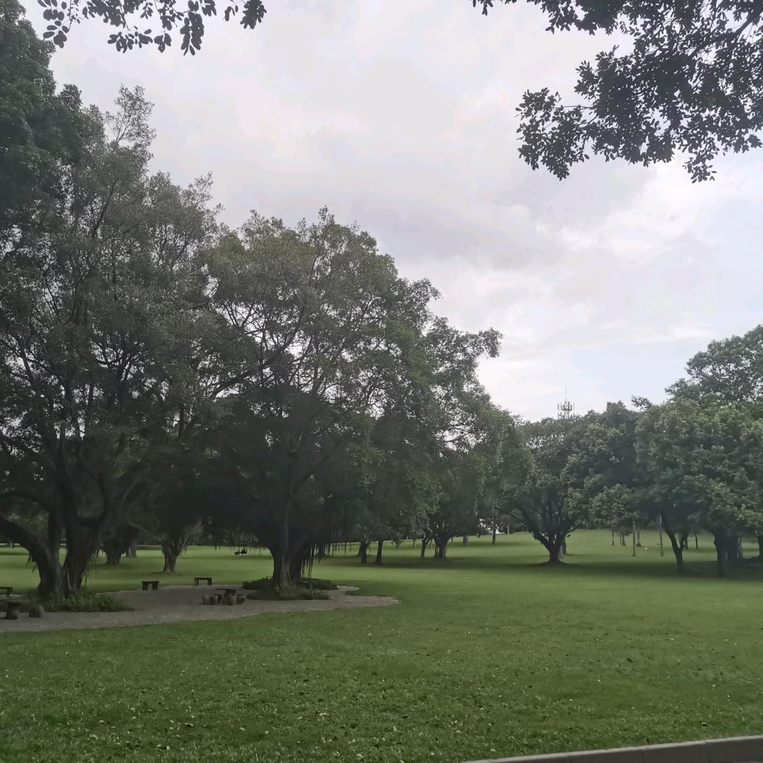 快乐不是拥有得多，而是计较得少。