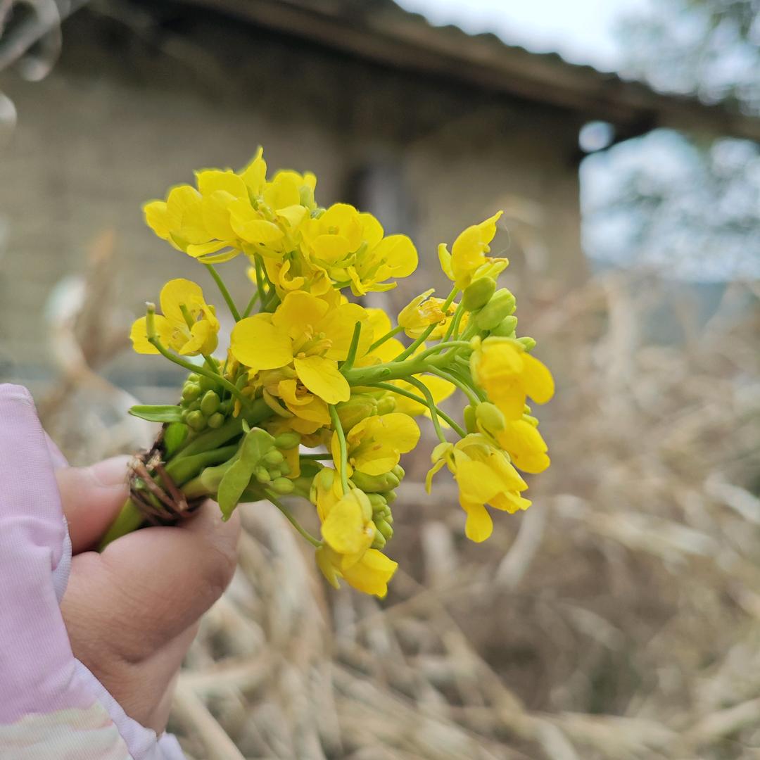 在想一个有福气的名字