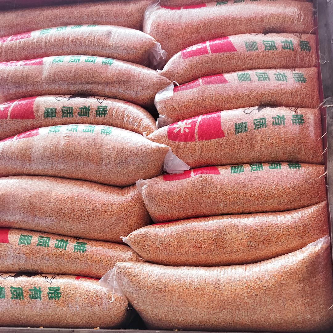 石泉县孙家粮贸经营部.