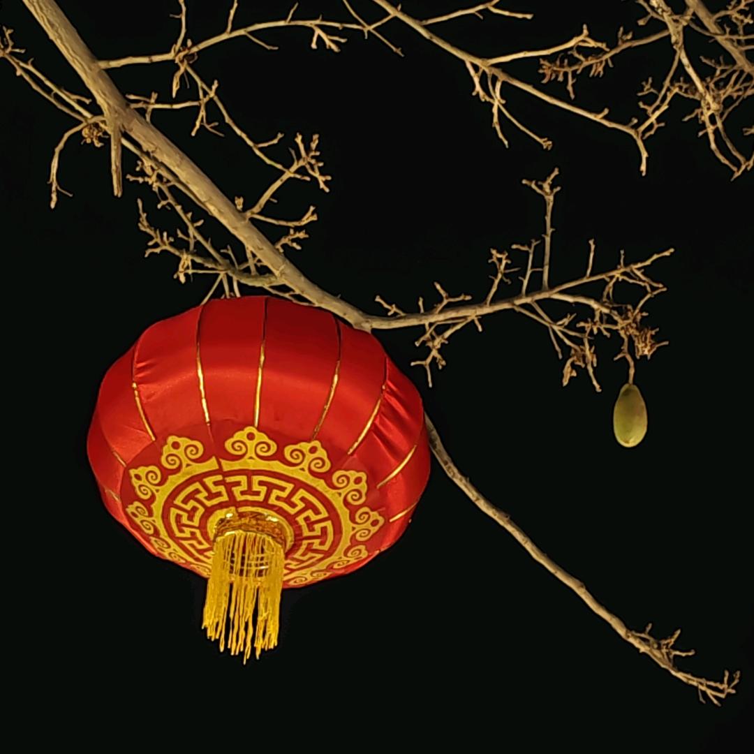 户外淘元