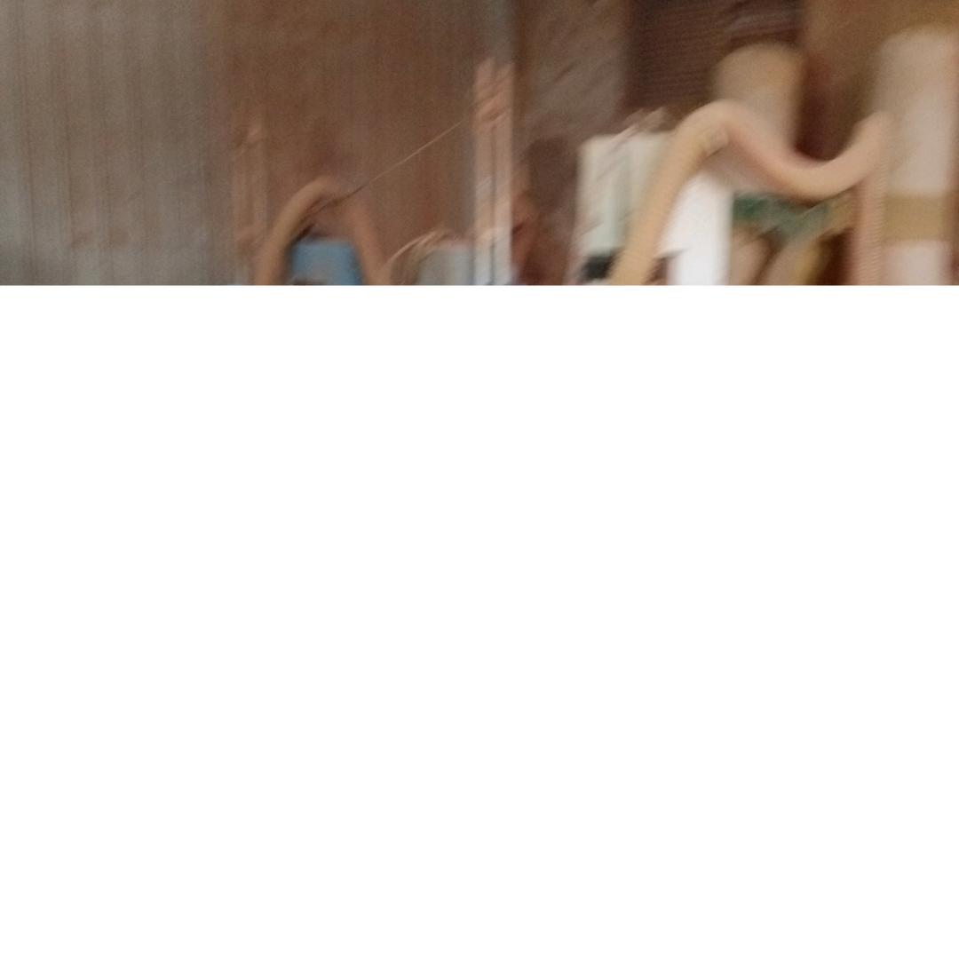 长志