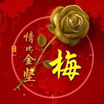 阜阳的《梅》在新疆