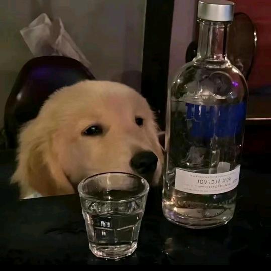 登登日上.