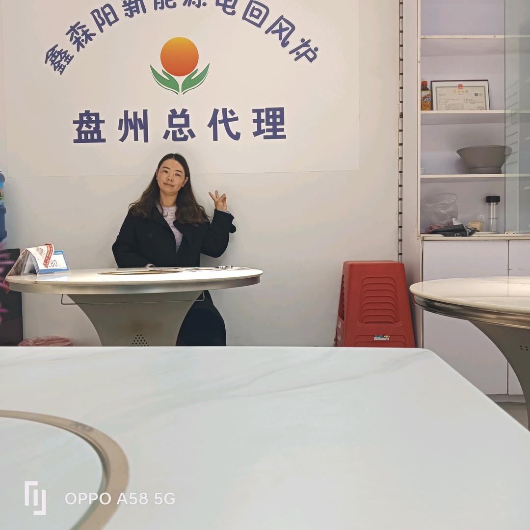 盘州市鑫森阳电回风炉经营部