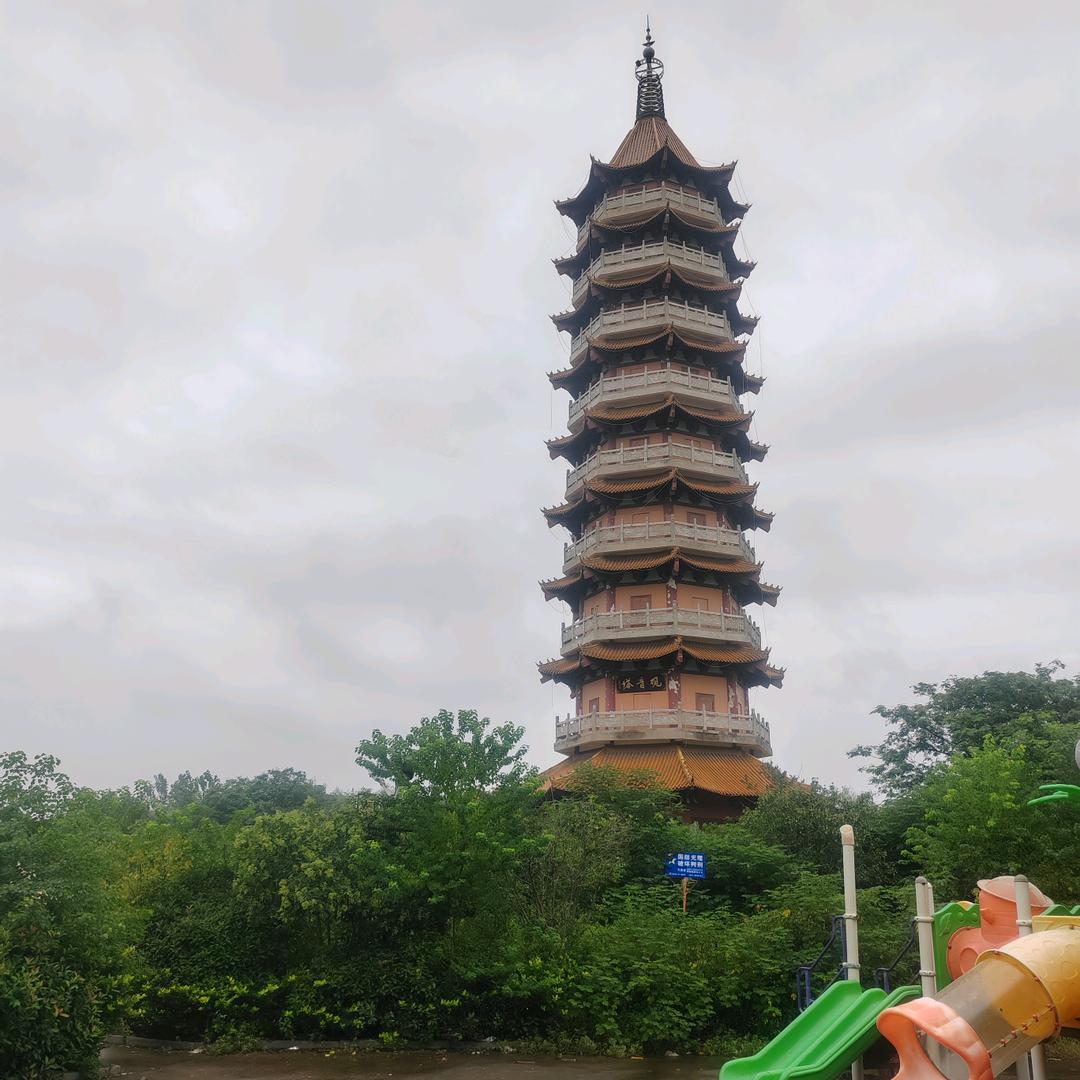 苹果