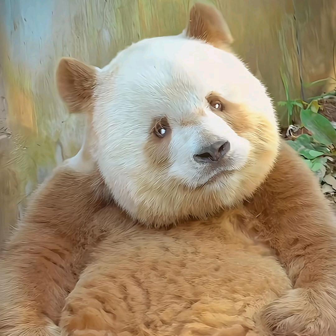 绿色