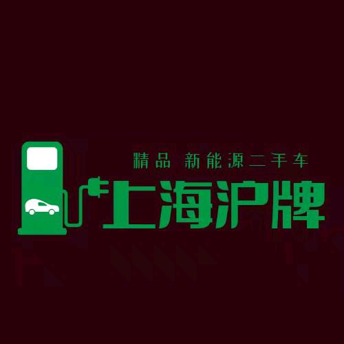 崽崽上海新能源二手车