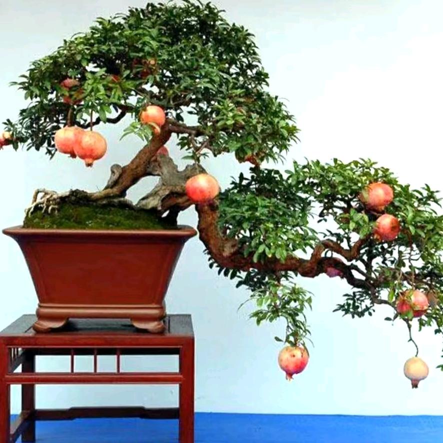 @明天🈶约，今晚🈶🈳^O^