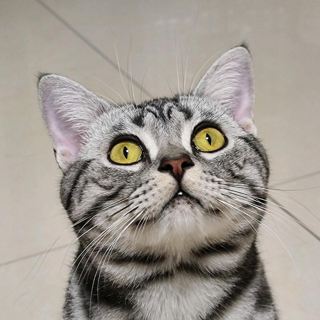 杨可爱