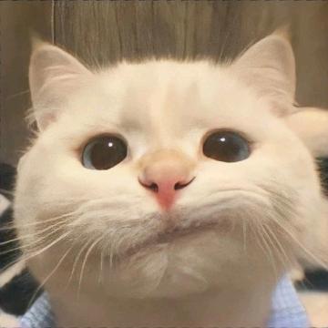 蓝草。