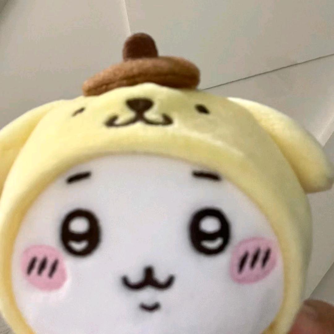 锐锐QWQ