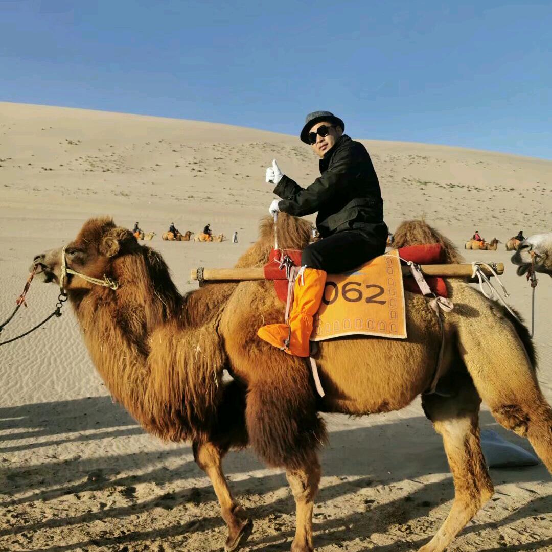 TP0防水卷材源头厂家