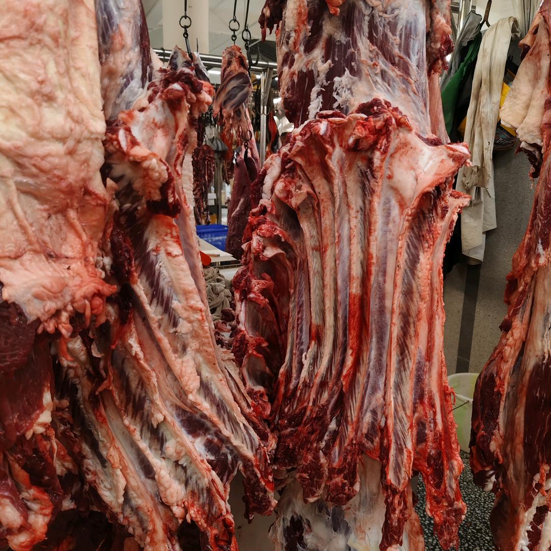 小鱼正在卖牛肉