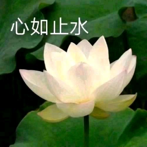 平安健康是福