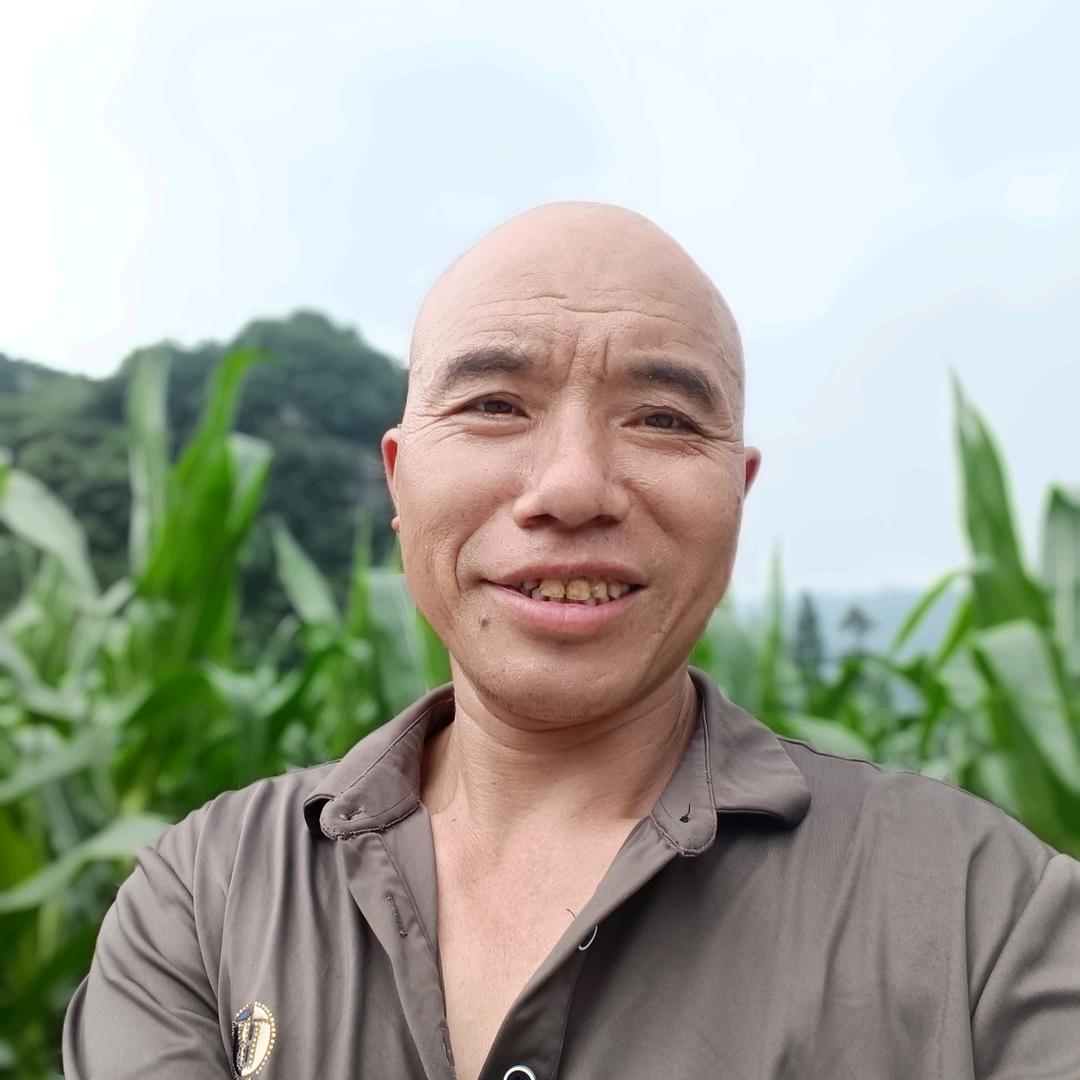 走四方陈四川苦瓜聊天主播