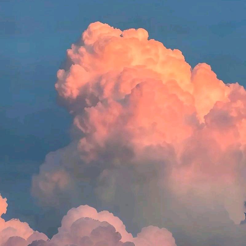 忘情水