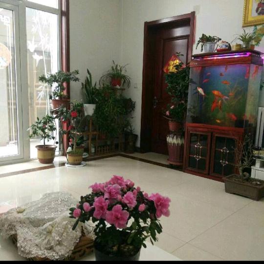 爱萍山海农家宴