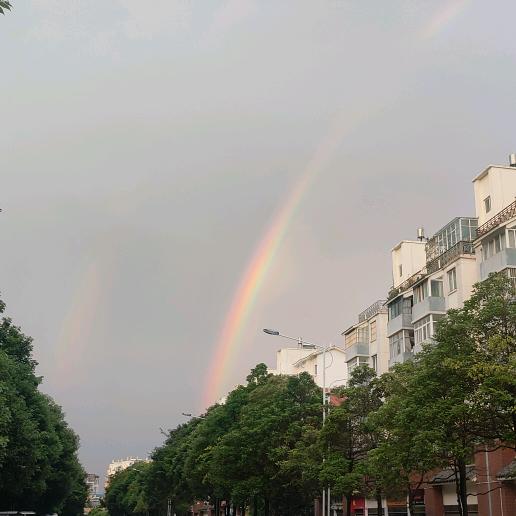 狗🇨🇳三🇨🇳爷🇨🇳