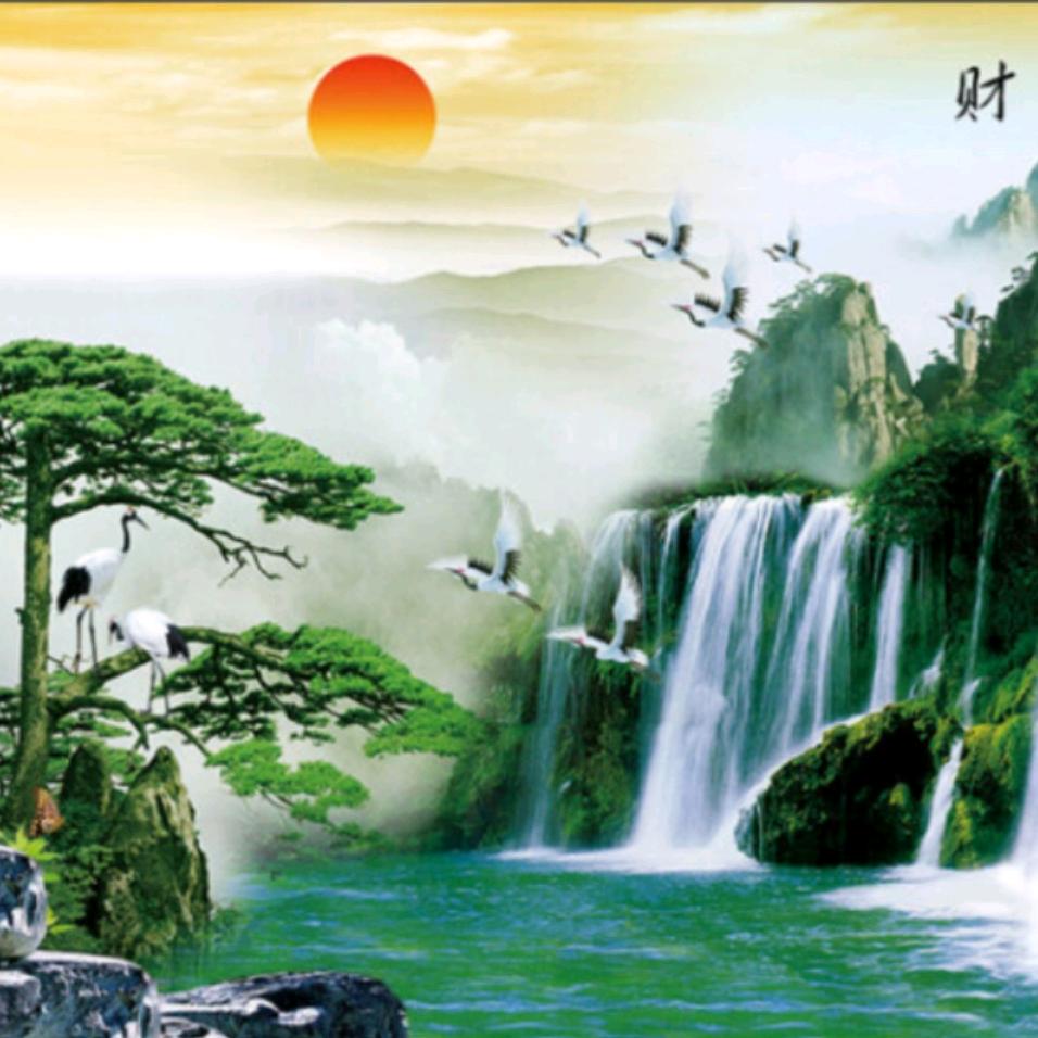 派对先生