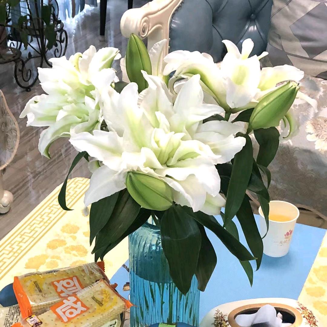 ឩ໊၀ឩ໊ᰁ᭄敷衍ও᭄࿚