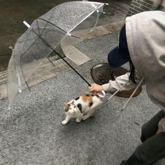 左一.