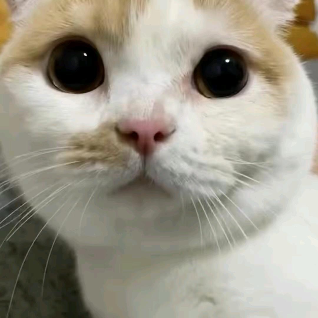 _4